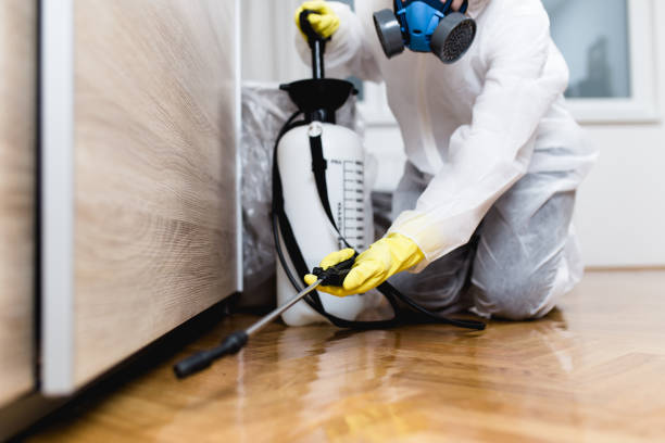  Crowley Lake, CA Pest Control Pros