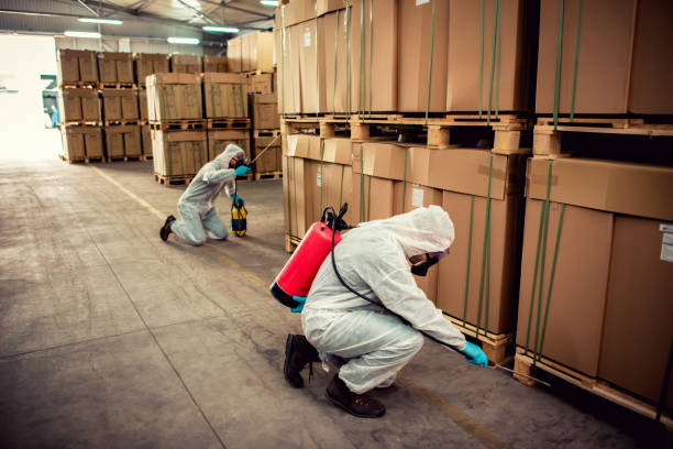Wasp Removal Services in Crowley Lake, CA