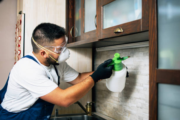 Best Affordable Pest Control Services  in Crowley Lake, CA