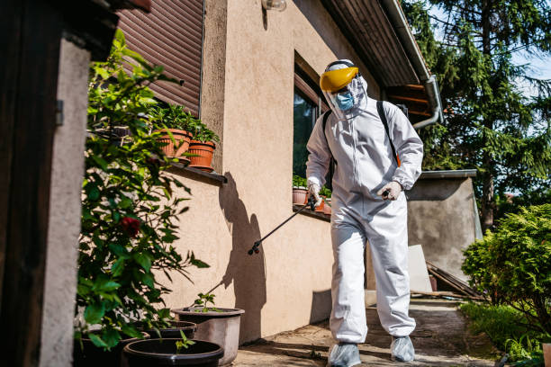 Best Insect Control  in Crowley Lake, CA