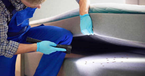 Best Rat Extermination Near Me  in Crowley Lake, CA