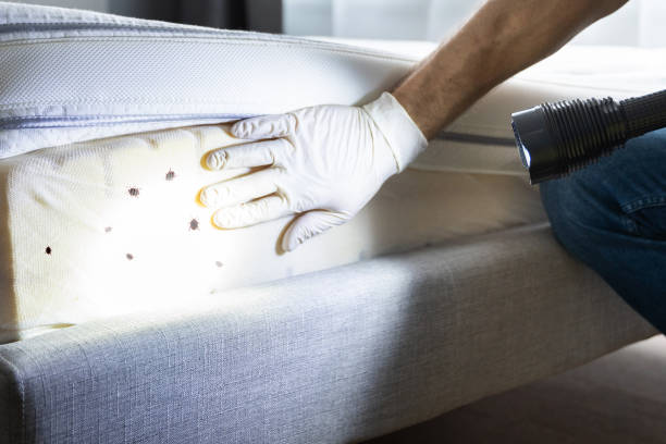 Best Wildlife Control Services  in Crowley Lake, CA
