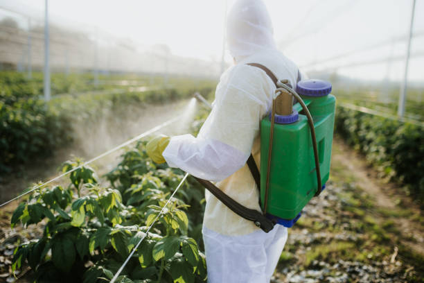 Best Pest Control Near Me  in Crowley Lake, CA